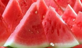 瓜家人在洛杉矶娱乐吃瓜号,瓜家人吃瓜大揭秘